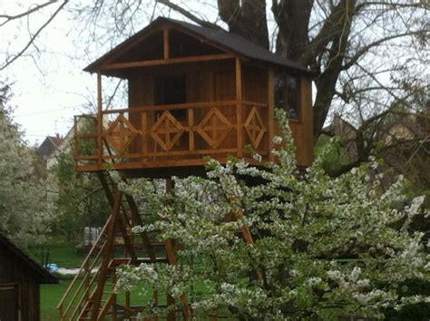 cabane dans les arbres bas rhin